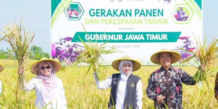 Gubernur Khofifah ketika memimpin panen dan percepatan tanam di Madiun.