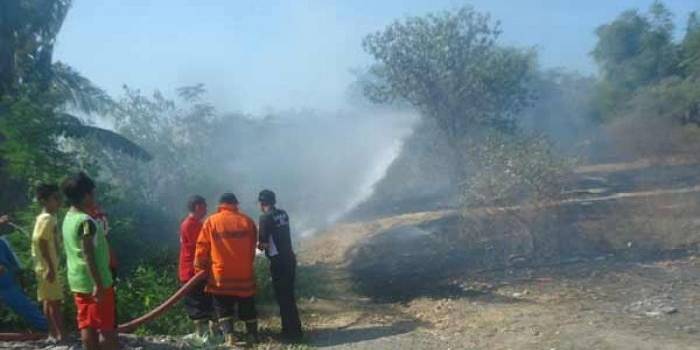 Petugas pemadam kebakaran saat berusaha memadamkan api agar tidak menjalar ke perumahan penduduk. (foto: hadi prayitno/BANGSAONLINE)