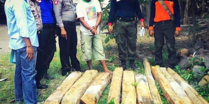 Barang bukti kayu yang diamankan.