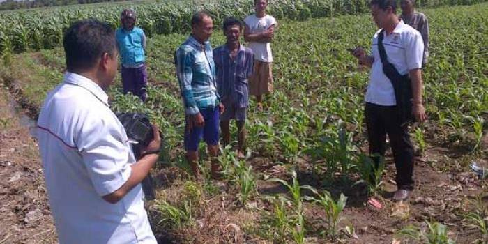 Petugas kepolisian memeriksa lokasi ditemukannya granat yang menghebohkan warga. (hadi prayitno/BANGSAONLINE)