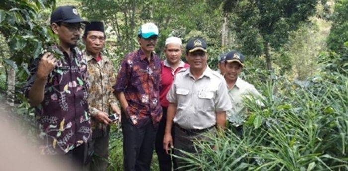 Ir HM Erfan Gani Kepala Dishutbun Bondowoso. (Sugiyanto/BANGSAONLINE)