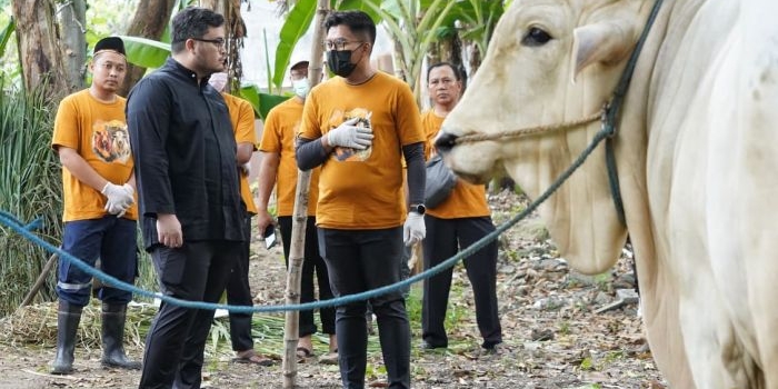 pdip-kabupaten-kediri-kurban-4-sapi-daging-dibagikan-untuk-warga-prasejahtera