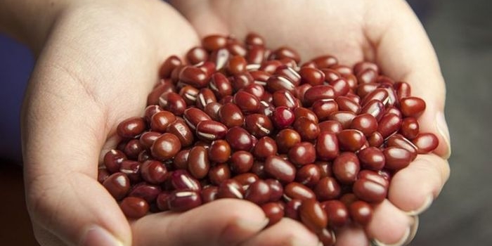 Ketahui 8 Bahan Makanan yang Tidak Boleh Dikonsumsi Mentah. Foto: Ist