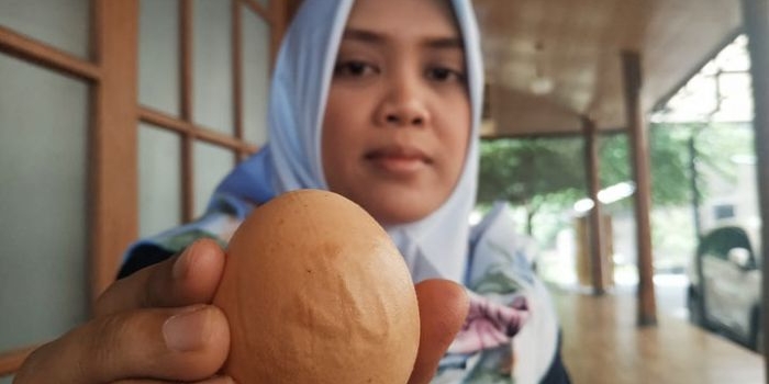 Risa Damayanti menunjukkan telur ayam berlafadz Allah yang ditemukannya.