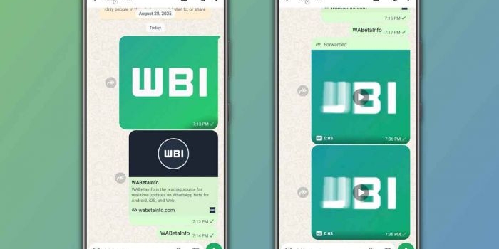 Uji coba WhatsApp dengan fitur premium. Foto: wabetainfo