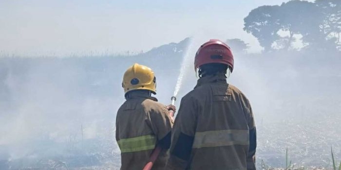 Petugas dari Damkar Kabupaten Kediri ketika berusaha memadamkan si jago merah yang melalap ladang tebu di Dusun Minggiran, Desa Ngancar, Kecamatan Ngancar. Foto: Ist