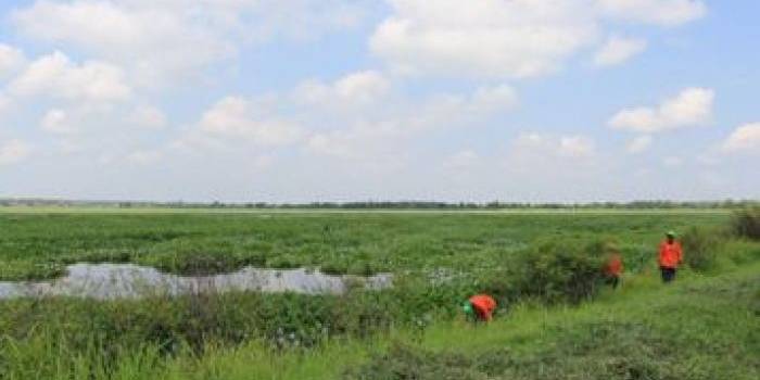 Nampak sejumlah waduk yang mengalami sedimentasi. (foto: haris/BANGSAONLINE)