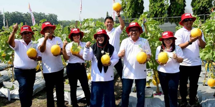 Direktur Utama Petrokimia Gresik, Dwi Satriyo Annurogo, bersama Wakil Bupati Gresik, Aminatun Habibah, dan jajaran direksi menunjukkan melon hasil buncob Petrokimia. Foto: Ist