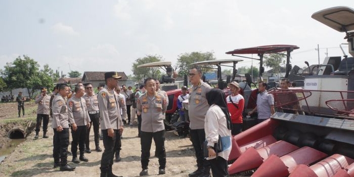 tim-verifikasi-lomba-ketahanan-pangan-mabes-polri-tinjau-lahan-jagung-di-prambon-sidoarjo