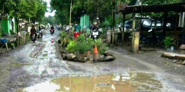 Taman di tengah Jalan Desa Tawangsari sengaja dibangun warga  sebagai bentuk protes ke Pemkab Mojokerto.