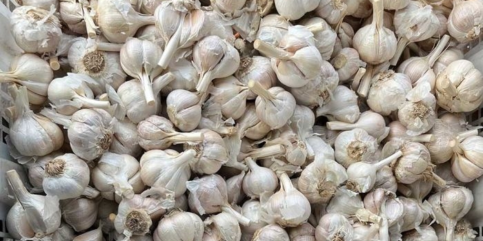 harga-sembako-surabaya-jelang-ramadhan-bawang-putih-rp40-333kg-cabai-rawit-rp76-500kg