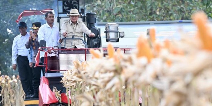 pimpin-panen-raya-jagung-123-juta-ton-serentak-di-tuban-presiden-prabowo-coba-combine-harvester