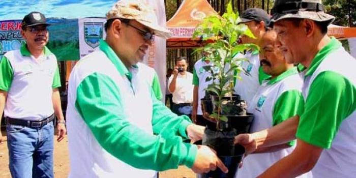 Wabup saat memberikan bibit kopi arabika. foto: andi/ BANGSAONLINE