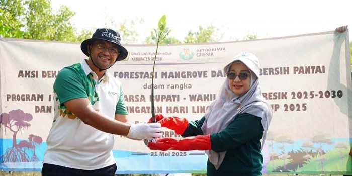bantu-5-300-bibit-mangrove-petrokimia-gresik-dorong-forestasi-dan-dekarbonisasi