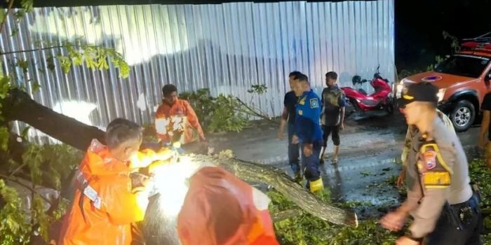 mobil-brio-yang-dikemudikan-wanita-asal-trenggalek-tertimpa-pohon-tumbang-di-lamongan