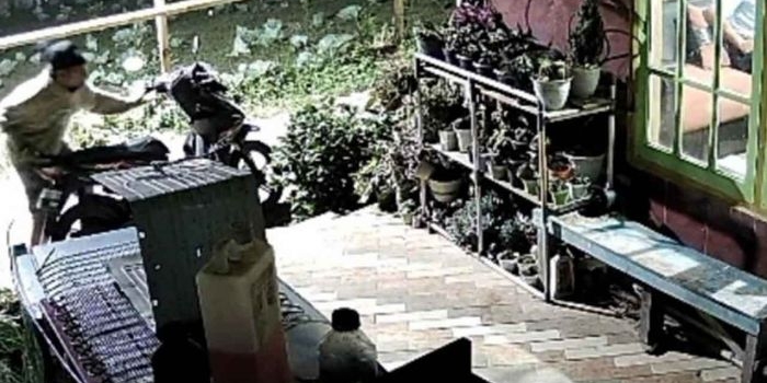 Tangkapan layar rekaman CCTV aksi pencurian yang terjadi di kawasan lereng Gunung Bromo, tepatnya di Dusun Arjosari, Desa Andonosari, Kecamatan Tutur, Pasuruan. Foto: Ist