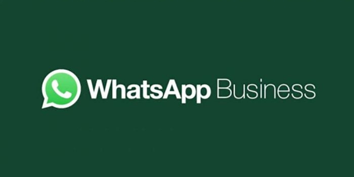 whatsapp-bisnis-alat-komunikasi-penting-untuk-penjualan-digital