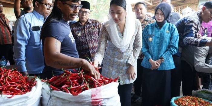 wamendag-dan-wali-kota-kediri-tinjau-pasar-grosir-ngronggo-bahas-sinergi-dan-revitalisasi