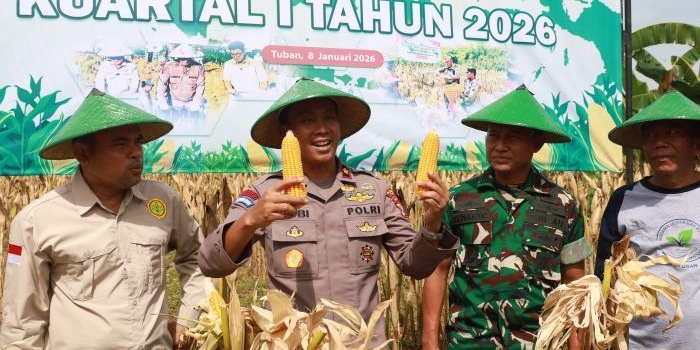 awal-tahun-polres-tuban-gelar-panen-raya-jagung-kuartal-iv