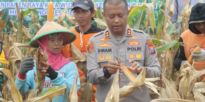 dukung-ketahanan-pangan-polres-mojokerto-gelar-panen-raya-jagung