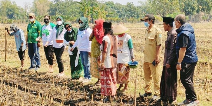 Pertani HKTI Jatim - Biotani melaksanakan tandur jagung bareng petani binaan Ponpes Syamsul Arifin, Pasuruan. foto: istimewa