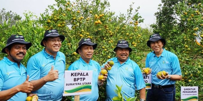 Dari kiri ke kanan: Kepala Dinas Pertanian Kab. Karo Munarta Ginting; GM Pabrik II Petrokimia Gresik (PG) Bachronsyah; Wakil Kepala Balai Pengkajian Teknologi Pertanian (BPTP) Sumut Ir. Akmal M.Si; dan Sekda Kab Karo.