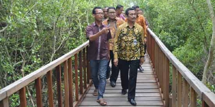 Wabup Moh. Qosim didampingi Camat Ujungpangkah Hari Syawaludin ketika mengunjungi taman mangrove, di Ujungpangkah. foto: SYUHUD/ BANGSAONLINE