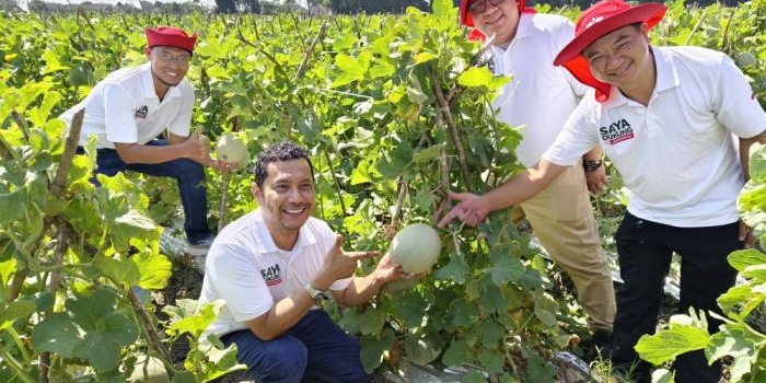 peluncuran-benih-melon-davina-f1-pecahkan-rekor-muri-lewat-panen-serentak-seribu-petani-di-nganjuk