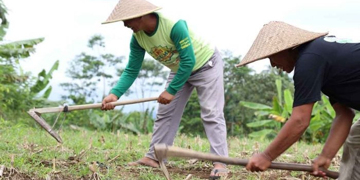 redistribusi-tanah-kementerian-atrbpn-akhiri-konflik-lahan-di-desa-soso-blitar