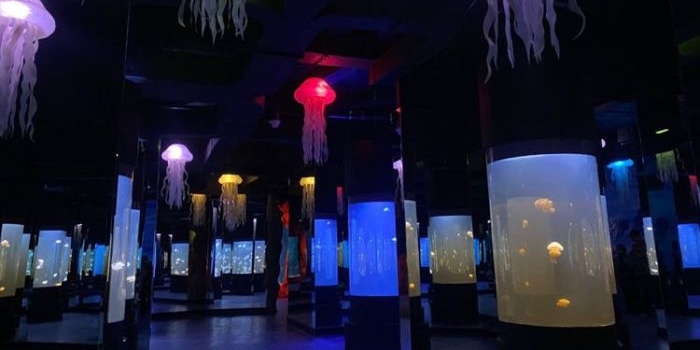 Harga Tiket Oceanarium BXSea Bintaro, Tempat Wisata Baru di Tangerang Selatan. Foto: Ist