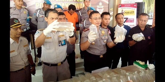 Kapolres Banyuwangi bersama petugas karantina sedang menunjukan barang bukti baby lobster.