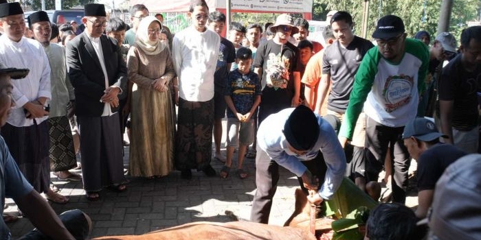 wali-kota-batu-dan-ketua-tp-pkk-saksikan-penyembelihan-hewan-kurban-1446-h-di-masjid-nurul-huda