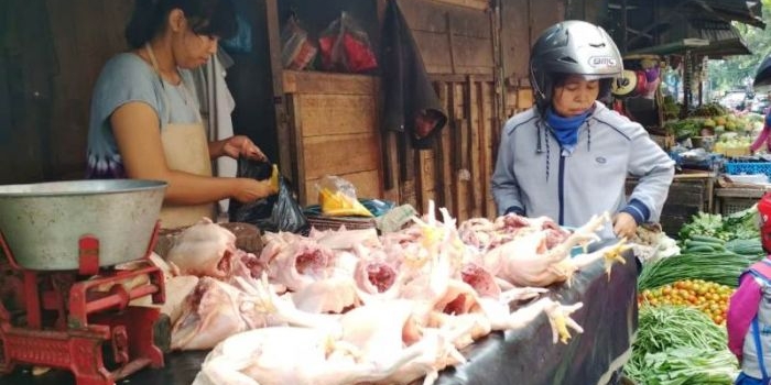Rudi salah satu penjual daging ayam di Pasar Templek Kota Blitar.