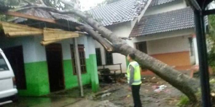Salah satu rumah di Kecamatan Ponggok tertimpa pohon setelah dihempas angin puting beliung.