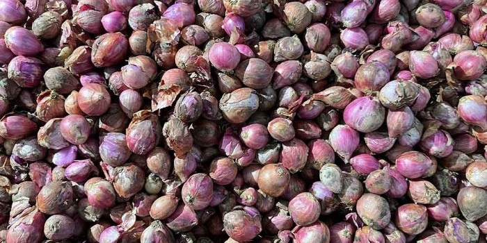 bawang-merah-merosot-simak-perubahan-harga-sembako-kota-batu-minggu-18-mei-2025