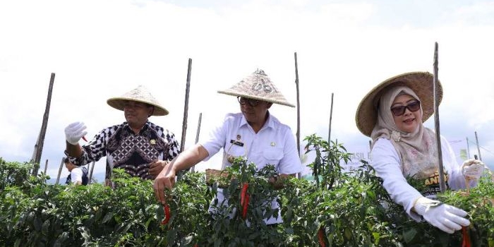 pemkot-batu-apresiasi-program-pt-pelni-pemberdayaan-petani-di-desa-pandanrejo