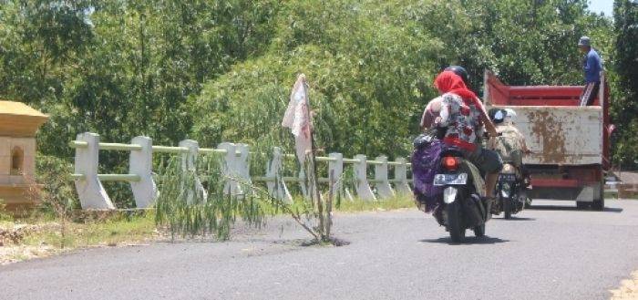 Jembatan yang ditanami pohon oleh warga. foto: (Suwandi/BangsaOnline)