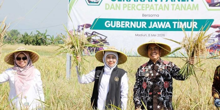 jawa-timur-jadi-produsen-padi-terbesar-nasional-2026