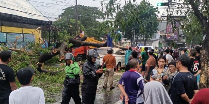 Pohon tumbang di Jl. Nginden yang menimpa mobil.