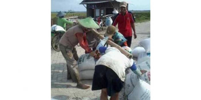 Para petani di Desa Temu, Kecamatan Kanor sedang melakukan transaksi jual-beli. Petani dan tengkulak melakukan aktifitas menimbang gabah basah. Foto: Eky Nurhadi/BangsaOnline.