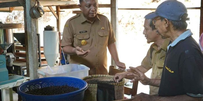 Pjs Bupati Kediri, Heru Wahono Santoso, saat mengecek produksi kopi lereng wilis. Foto: Ist