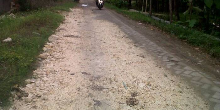 Jalan berpaving di Desa Temu, Kecamatan Kanor, Bojonegoro diurug pedel. Foto: Eky Nurhadi/BangsaOnline.com
