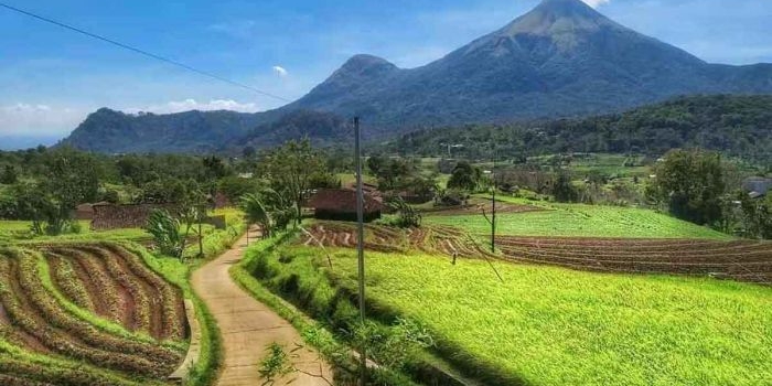 Terasering Selotapak, Trawas, Mojokerto.