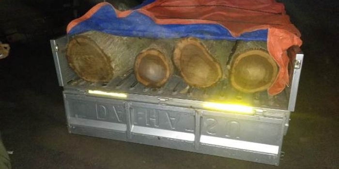 Inilah di antara kayu yang dicuri tiga pria itu. foto: yudi indrawan/ bangsaonline.com