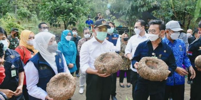 Gubernur Jawa Timur Khofifah Indar Parawansa saat acara panen porang bersama Menteri Pertanian RI Syahrul Yasin Limpo dan Menko Bidang Pembangunan Manusia dan Kebudayaan (PMK) Muhadjir Effendy di Desa Klangon, Kecamatan Saradan, Kabupaten Madiun, Kamis (17/6). Foto: ist