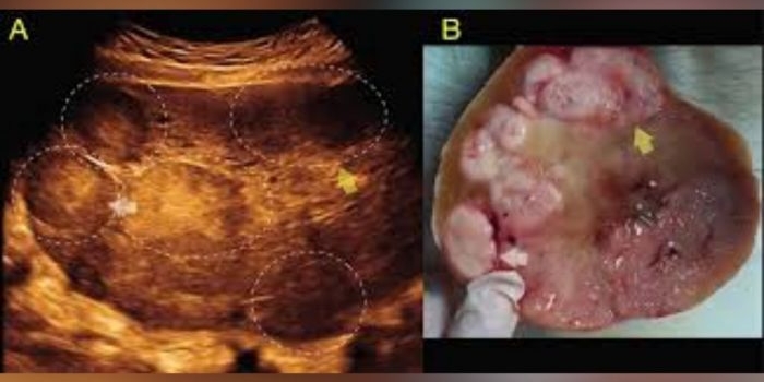 cuaca-sumenep-hari-ini-senin-19-januari-2026-diperkirakan-berawan-dengan-suhu-24-29°c