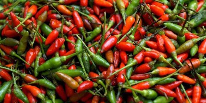 harga-sembako-jatim-kamis-15-mei-2025-cabai-rawit-merah-rp28-430kg-beras-medium-rp12-489kg