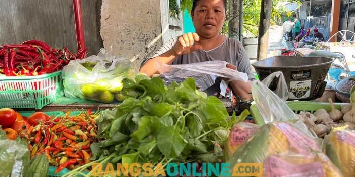 harga-cabai-hingga-daging-ayam-di-bali-hari-ini-turun