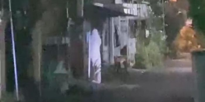 video-viral-diduga-pocong-di-gang-kampung-gegerkan-warga-lamongan