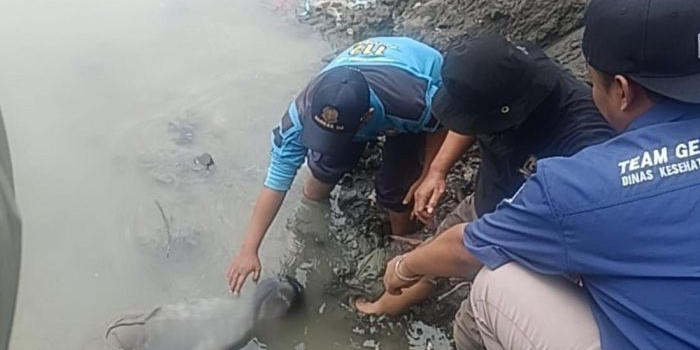 hilang-sejak-minggu-bocah-10-tahun-ditemukan-meninggal-di-sungai-jalan-kalimas-barat